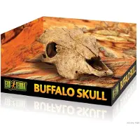 Exo Terra Schuilplaats Buffalo Skull - Ornamenten - 23x11x23 cm