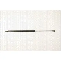TRISCAN Gasdrukveer, kofferruimte 8710 28234 Triscan voor o.a. PEUGEOT