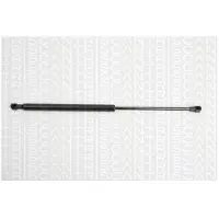 TRISCAN Gasdrukveer, kofferruimte 8710 25234 Triscan voor o.a. RENAULT
