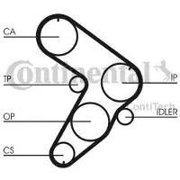 CONTITECH Getande riem CT599 Contitech voor o.a. FIAT