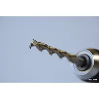 REX Bankirai boor 6mm voor hardhout lange boor