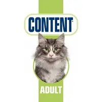 Content Economic Content Adult kattenvoer 4 kg