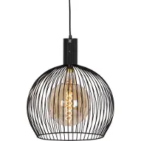 Expo ETH Wire hanglamp 40cm 1x E27 zwart