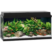Gebr. De Boon Juwel aquarium Primo 110 met filter zwart Juwel