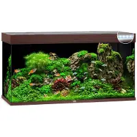 Juwel Aquarium Rio 350 Led Met Filter D.Bruin