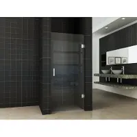 Wiesbaden Less Nisdeur zonder profiel 100x200cm 8mm glas met NANO coating
