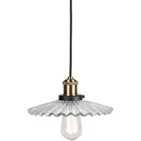 Globen Lighting Cobbler hanglamp Ø25 cm Helder
