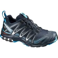 Salomon XA PRO 3D GTX, hardlopen, heren, volwassenen, zwart, blauw, effen, vetersluiting