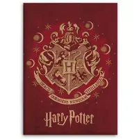 Aymax fleecedeken Harry Potter 140 x 110 cm