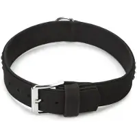 Beeztees Buffalo - Hondenhalsband - Leer - Zwart 65cm x 40mm