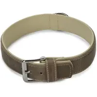Beeztees BZ LEREN KRAAG COMFORT GRIJS 65 (Hond, Hondensport)