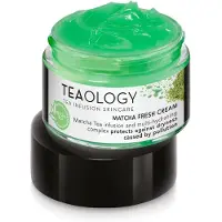 Teaology Matcha fresh cream 50 ml