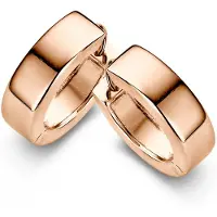 Casa Jewelry Oorringen Wals Medium - 14kt Roségoud Verguld - Luxe Scharniersluiting