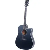 Fazley W70-DMBK ColourTune Dreadnought Matte Black westerngitaar