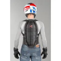 Zandona Shield Evo X7 Rugbeschermer