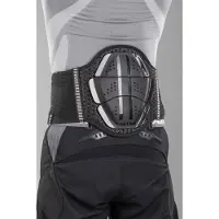Zandona Shield Evo X3 Rugbeschermer