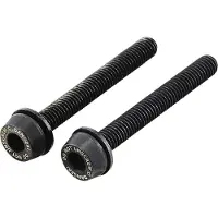 Campagnolo bouten voor schijfremklauw achter 39 mm 2 stuks