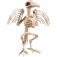 Boland - Decoratie Skelet kraai - Horror - Horror