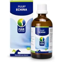 Puur Echina Paard/Pony