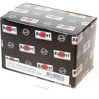 Kelfort Schroefnagels