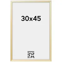 Walther design AJ045S Wissellijst Papierformaat: 30 x 45 cm (b x h) 30 cm x 45 cm Zilver