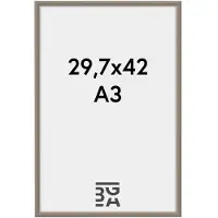 Walther design New Lifestyle - Kunststof lijst - Fotoformaat 29.7x42 cm (DIN A3) - Staal