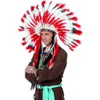 Coppens Indianentooi groot |