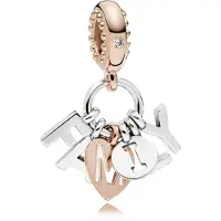 Pandora Perfect Family Charm