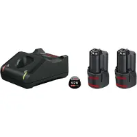 Bosch Professional Starterset 2x GBA 12V Accu 2.0Ah + Snellader GAL 12V-40 - 1600A019R8
