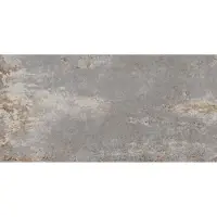 EnergieKer Tegel 30 x 60 cm - Silver - Keramiek - Rechthoekig - 7 stuks - 1,26 m2 - Metaallook - Vloertegels - Wandtegels - Tegels - JB10637-1