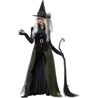 Vegaoo - Lange groene en zwarte gothic heks outfit voor volwassenen