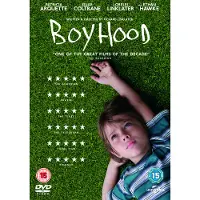 Dvd Boyhood - Dvd