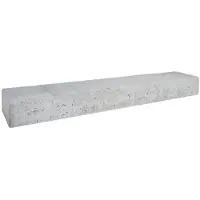Gardenlux 2 stuks! Betonbiels grijs 12x20x120 cm