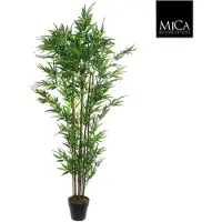 Mica Decorations bamboe in pot maat in cm: 180 x 80