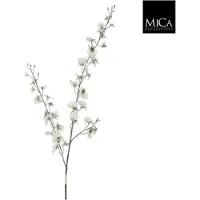 Mica Kunstbloem Oncidium, lengte 78 cm, crème