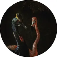 Groovy Magnets Magneetsticker Ø60 cm - Cassowary And Friend