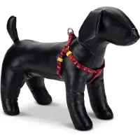 Beeztees BZ NY GESCH STERREN ROOD 60-100X2 (Hond, Algemeen)