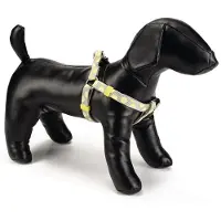 Beeztees Lemon - Hondentuig - Lichtgrijs - 60-100 cm