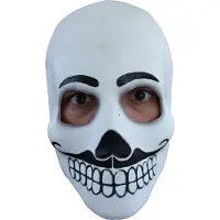 Generik "Wit masker voor mannen Dia de los Muertos - Verkleedmasker - One size"
