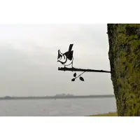 Birdwise - Kuifmees