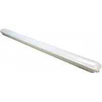 Big Bright armatuur LED waterdicht 24W 4000K 1200MM