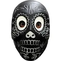 Partychimp Black Catrin Volledig Hoofd Masker Halloween Masker voor bij Halloween Kostuum Volwassenen Carnaval - Latex - One size