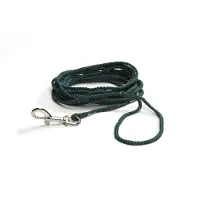 Beeztees Zoeklijn - Hondenriem - Nylon - Groen - 15M
