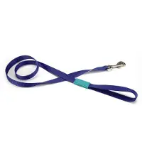Beeztees Uni - Hondenriem - Blauw - Nylon - 1,20 meter - 20 mm