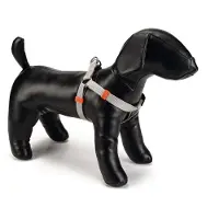Beeztees Uni - Hondentuig - Licht grijs - Nylon - 20 mm