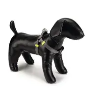 Beeztees Uni - Hondentuig - Donkergrijs - 46-75 cm x 20 mm