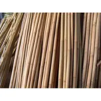 Intergard Bamboestokken tonkinstokken tonkin 210cm 16/18mm per 100 stuks