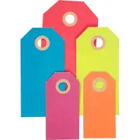 Packlinq Cadeaulabels, 250 gr, kleuren assorti, 500div