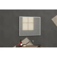 Brauer Onyx rechthoekige spiegel 80x70cm RVS geborsteld
