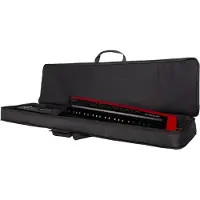 Roland CB BAX - GIGBAG FOR AX-EDGE